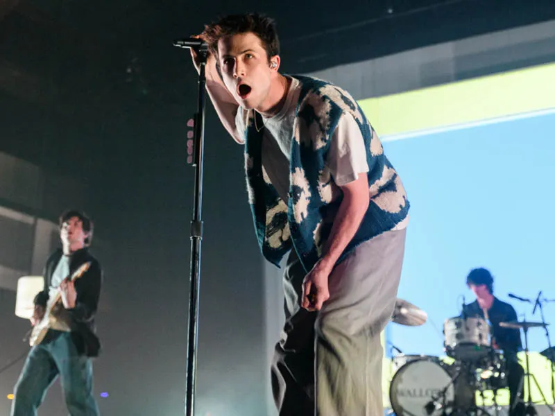 Wallows tickets